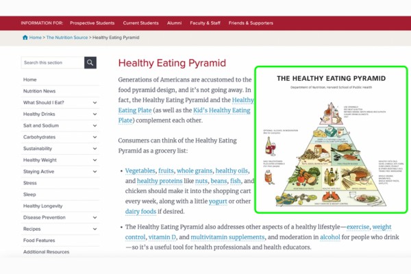 Harvard’s “Healthy Eating Pyramid” infographic